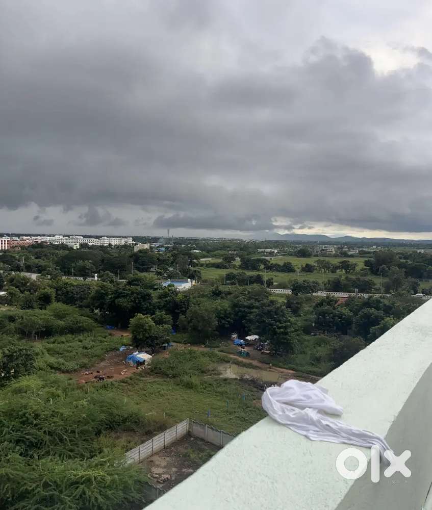 Running Boys pg for sale in prime location