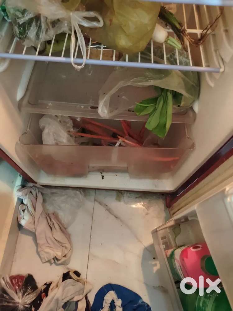 Fridge working condition