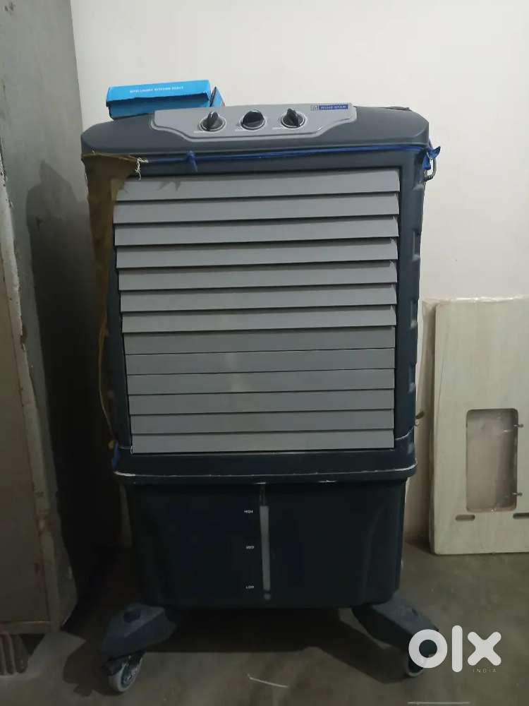 Blue star Pvc body air cooler