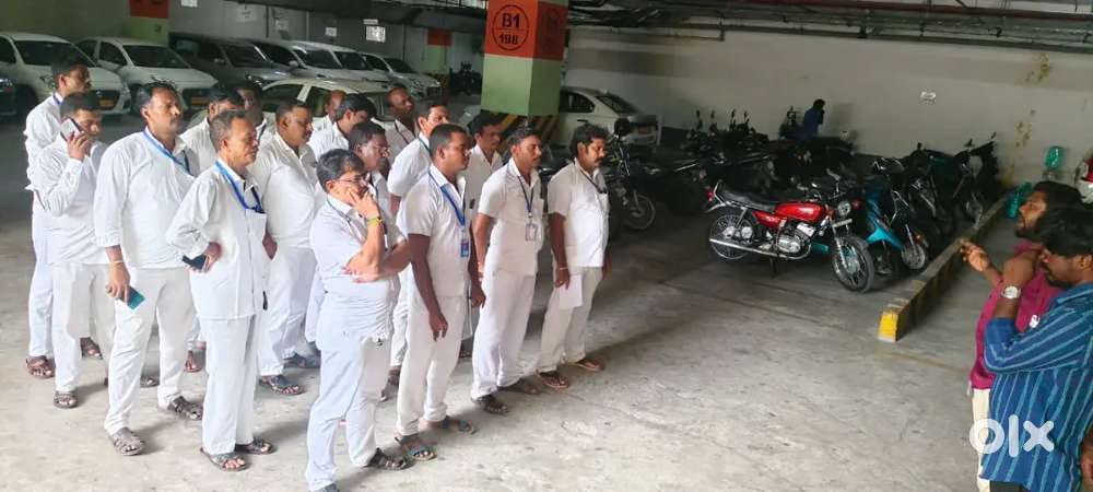 Need driver for IT company