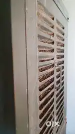 Best condition cooler