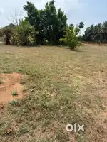 Lakshmi nagar, arisipalayam, coimbatore
