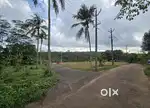 78 Cent Residential land for sale in Mangalakkal Kattakada