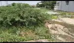 Ready to built vacant site at Halakundi