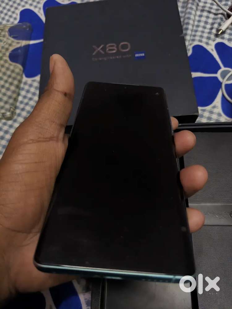 12+256 vivo x80
