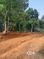 23.5 cent Plot  near Alampally 800 mtrs from NH220