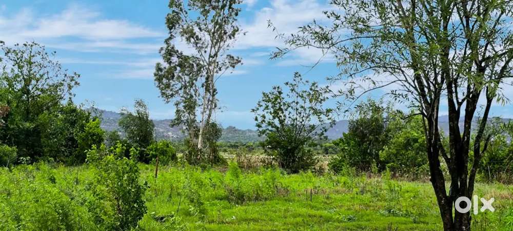 5, 10 or 16 Marla plot available at Nagrota Jammu