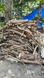 Wood for fire