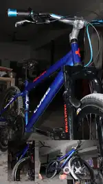 Best brand new modified cycle
