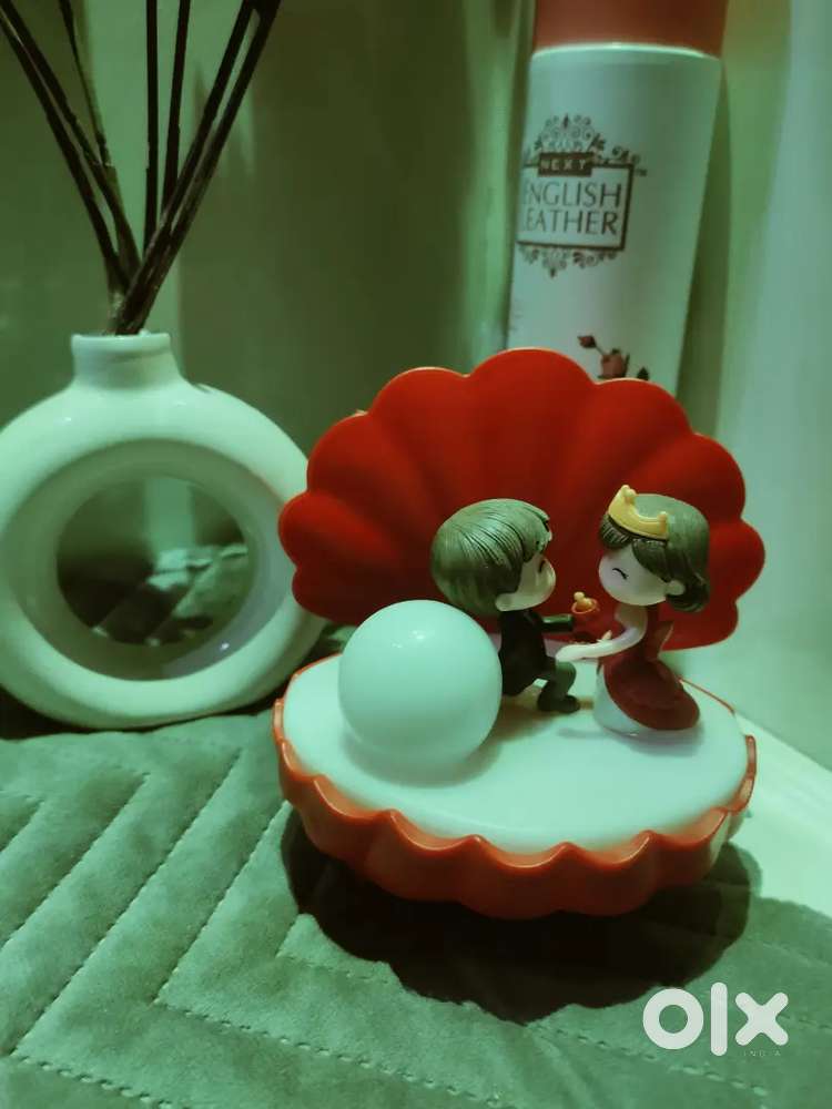 11th class Accounts home tutor available