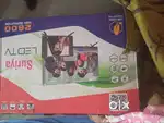 Suriya 24inch
