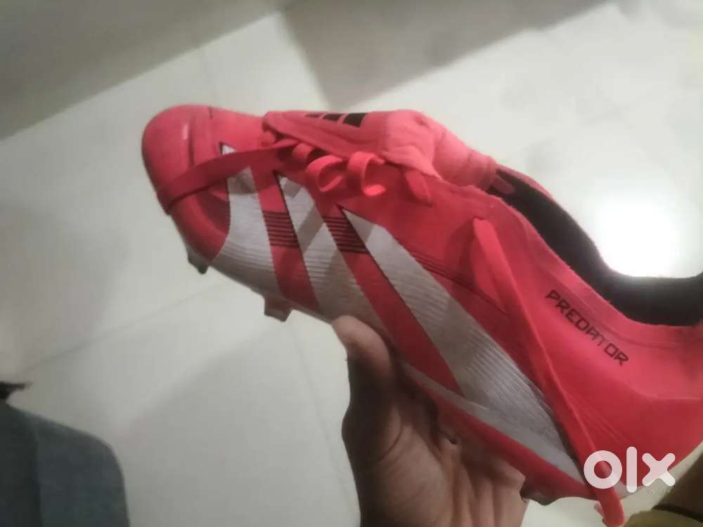 Addidas Original predator , (football shoes)