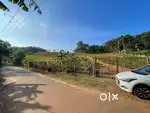 Residential Plot for Sale in Veeranakavu – Clear Title & Road Access