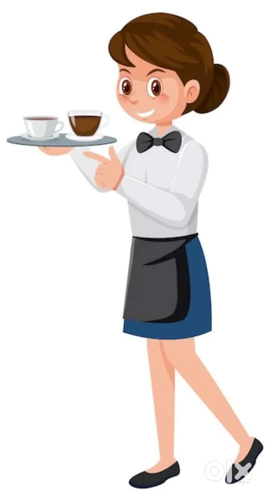 Steward / waiter required