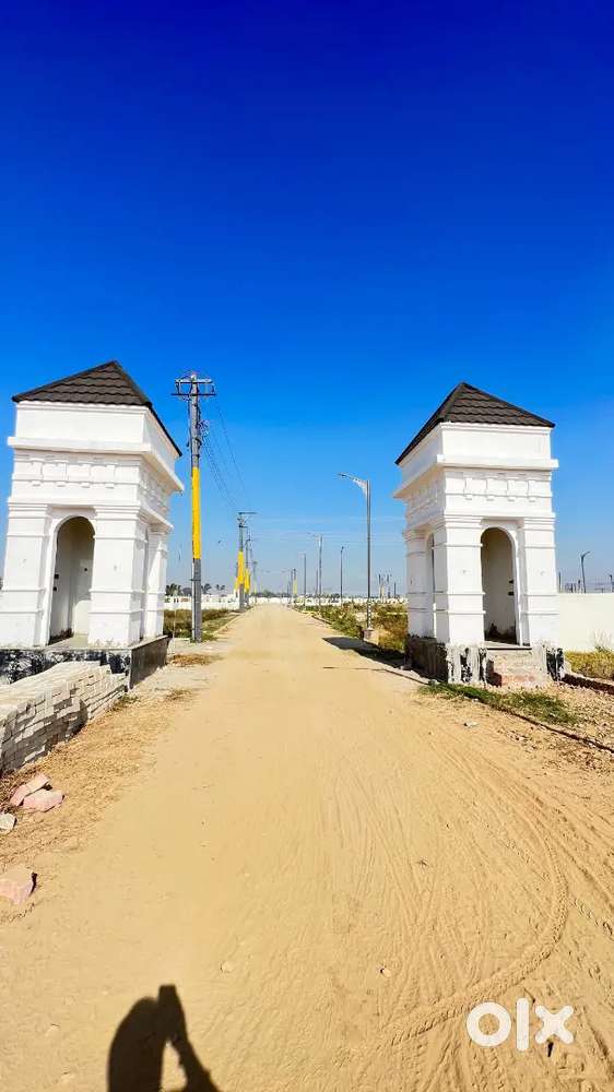 plot salees an parchase