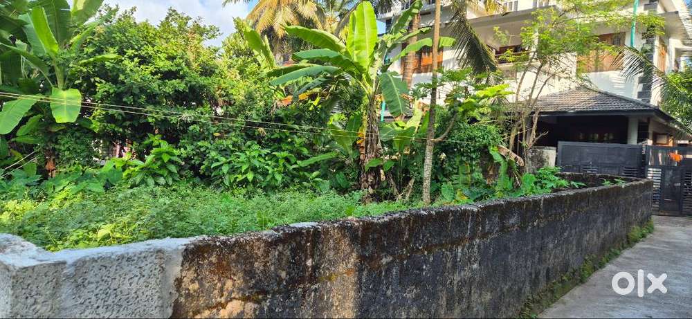 5 cent land for sale in beypore road for 10 lakh per cent