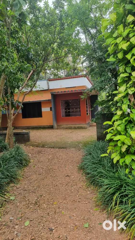 വീട് വാടകയ്ക്ക് നെല്ലിമൂട്