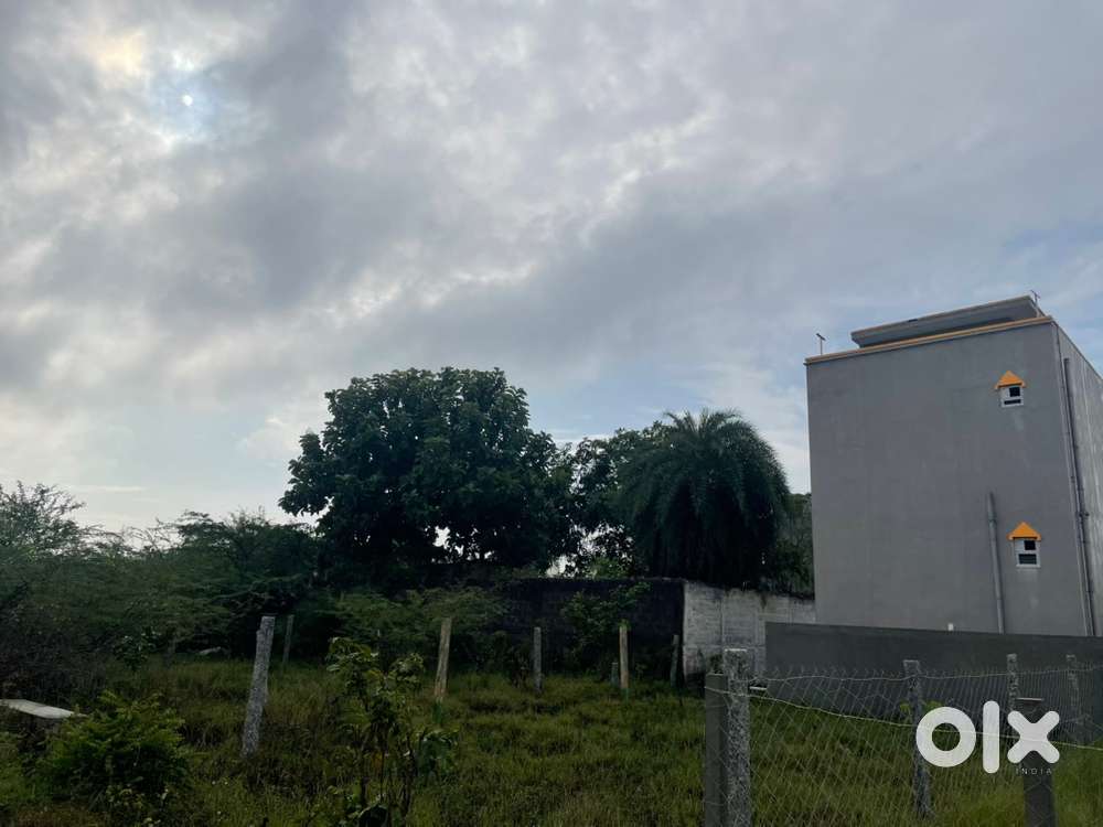 Dtcp approved North Facing plot for sale in Rathinamangalam