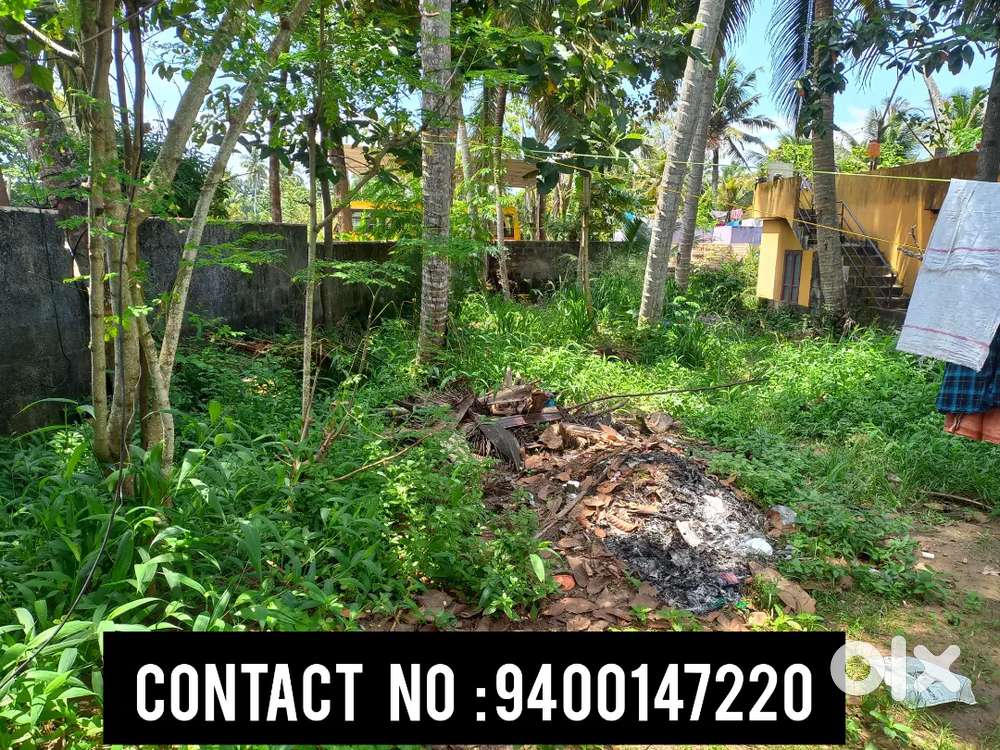 4.5 Cent Plot For Sale Near Holy Family School Pachalloor