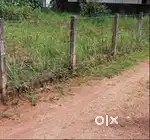 29Cents of Commercial Land in Thammanam