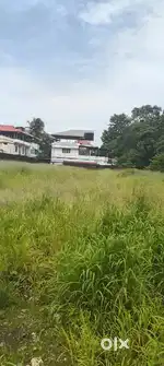 40cent original land for Emergency sale at Kadavanthra
