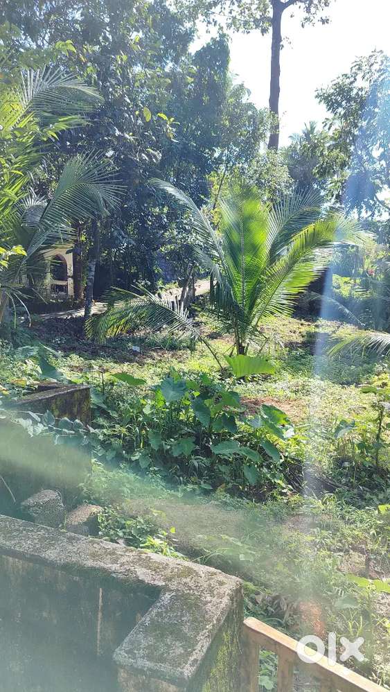 Sqare plot for sale in anchal yeroor (aylara)