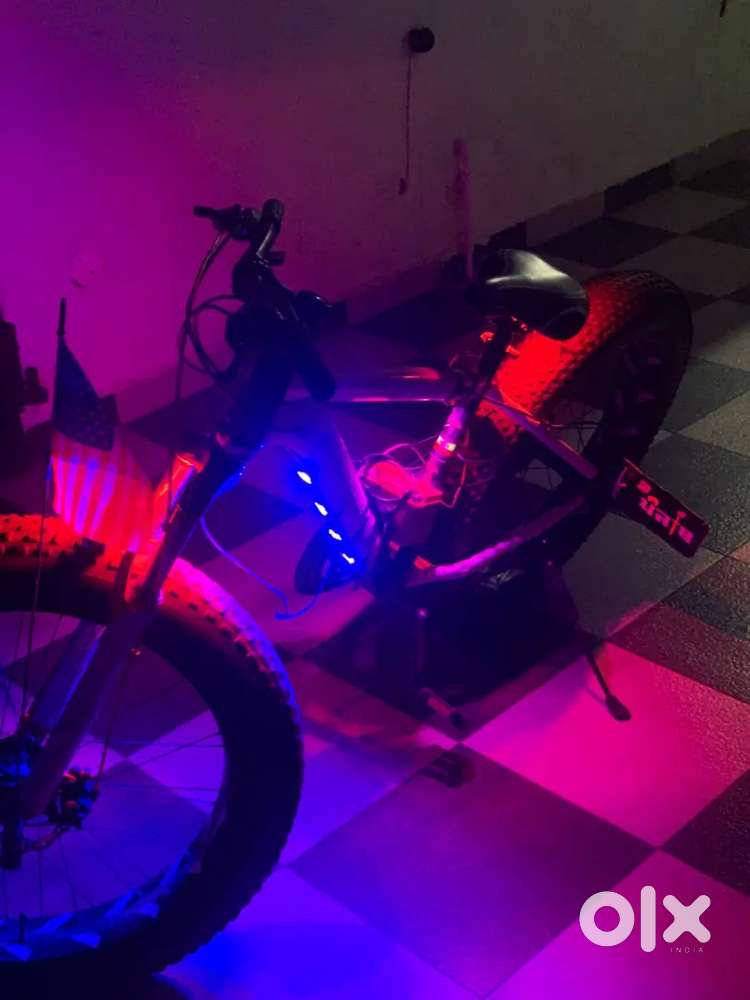 Modified fat bike with flag and down lights and battery.