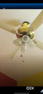 Luxery Usha Celling fan