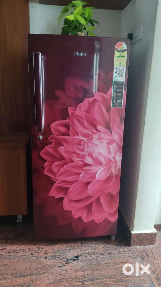 Refrigirator