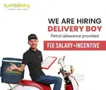 Tumbledry Tnagar - Delivery Person