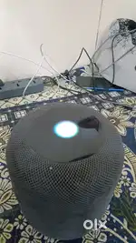 Apple Home Pod