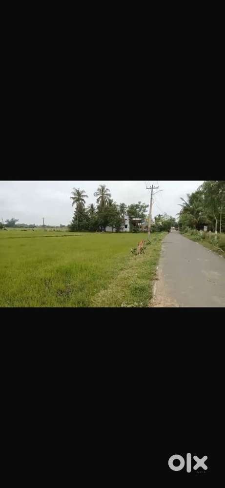 2 acres agricluture land for sale