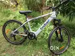 Cyclex connect electric cycle