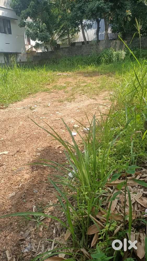 വട്ടപ്പാറ പോത്തൻകോട് പോകുന്ന റോഡ് ഒഴുകുപാറ 18സെന്റ് സെന്റിനു 3.5ലക്ഷം