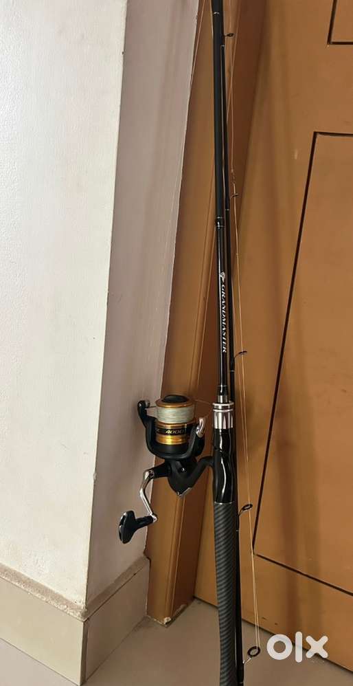 Fishing rod and reel