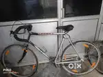 Spots cycle