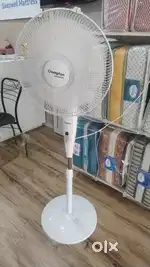 Fan (Pedestrian & wall mounted)
