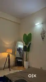 Full length mirror, a fake banana leaf plant and a lamp