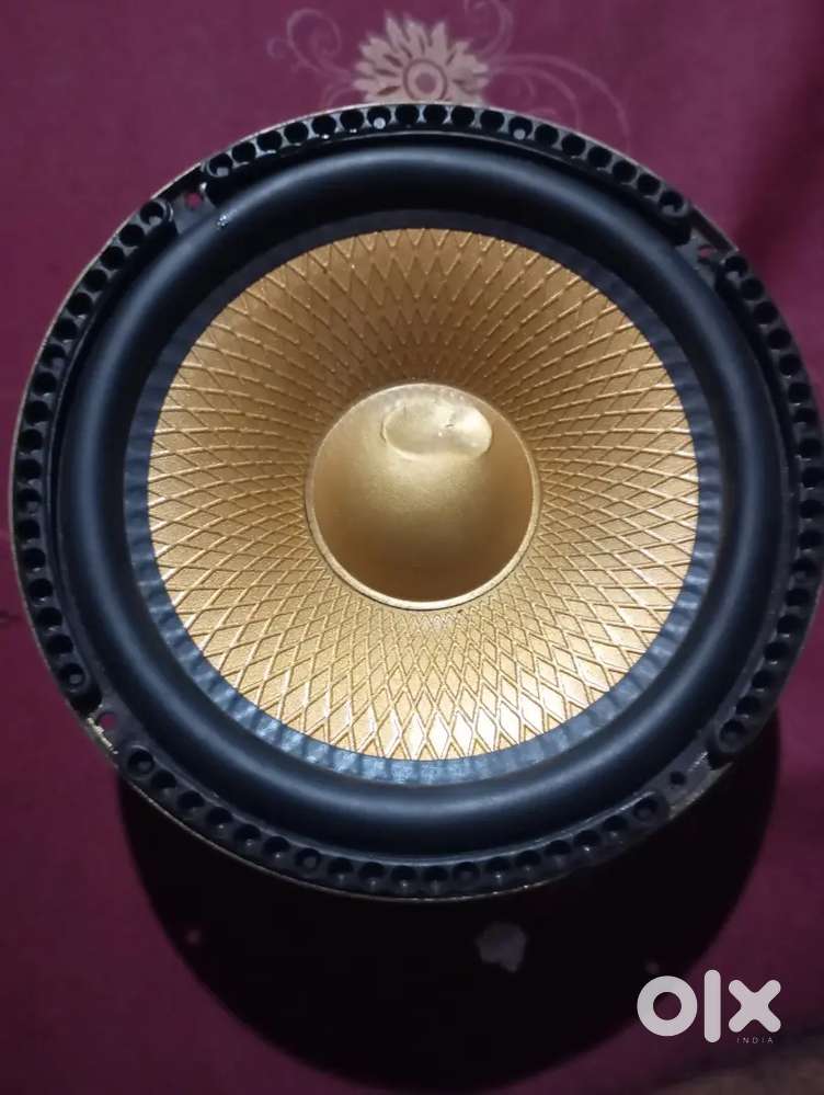 8 inch Panasonic Gold Subwoofer