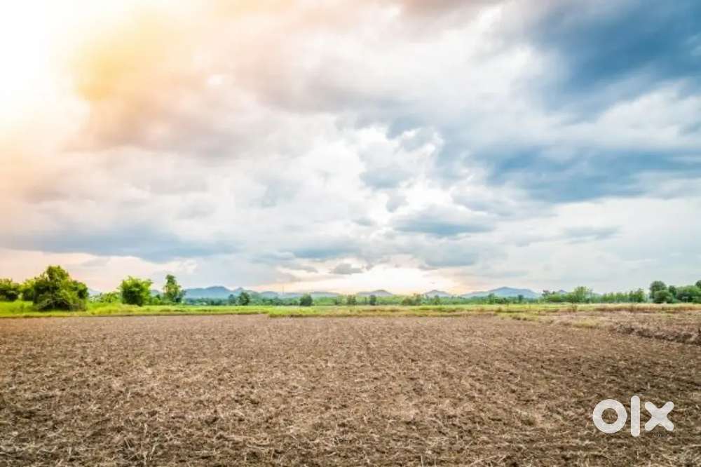 Biribati Cuttack 10 guntha