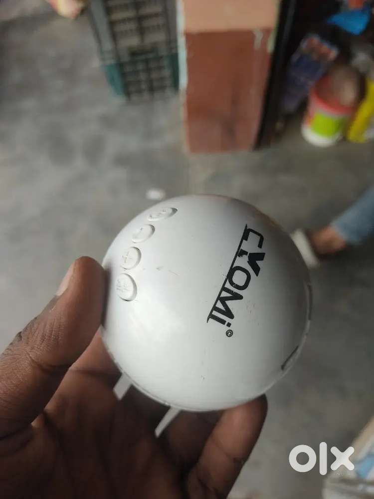 Cricket ball speaker