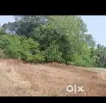 15cents plot for sale  60000/ cents , santoor padubidri