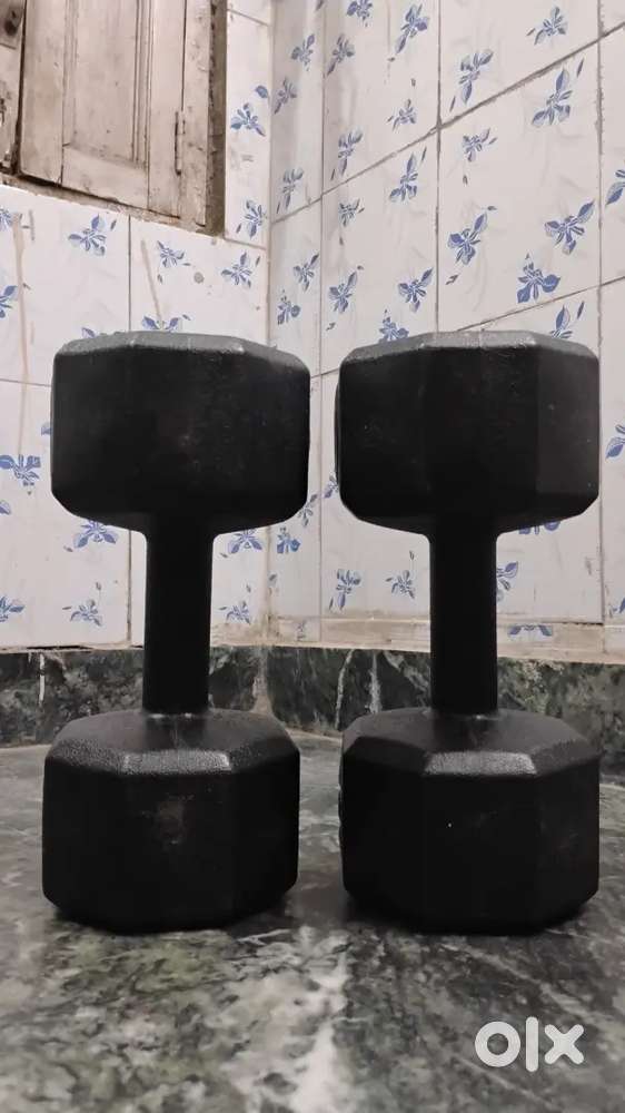 Dumbbell 5KG×2 (no wear tear)