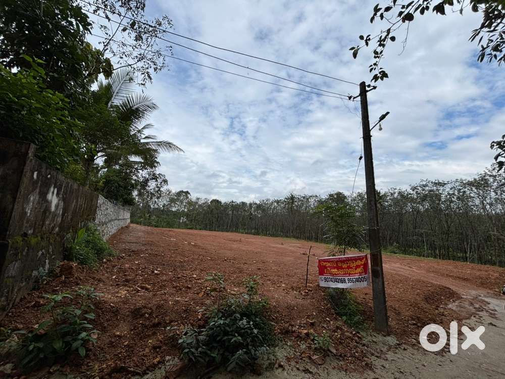 1 എക്കർ വസ്തു പ്ലോട്ട് തിരിച്ച് വിൽക്കപ്പെടും