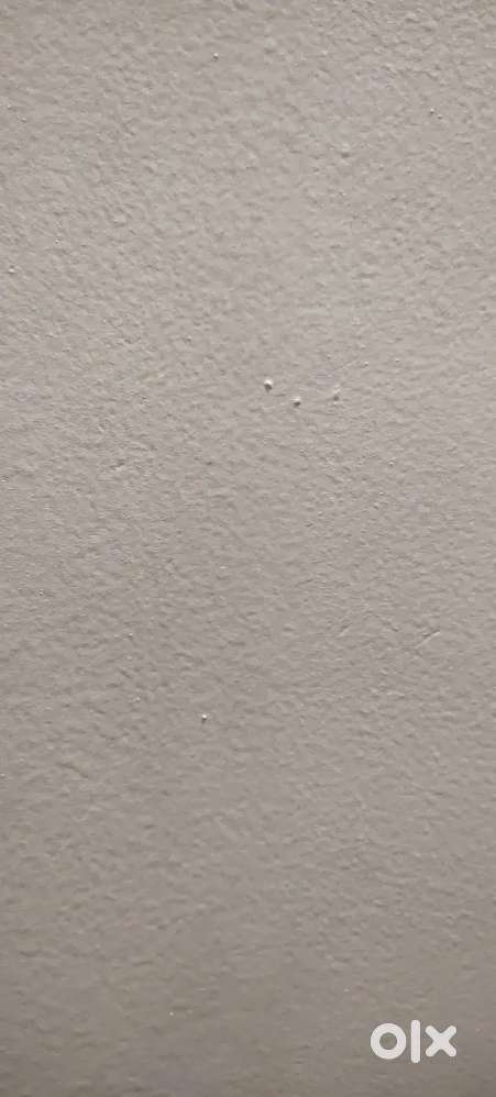 Fully Furnished 2-BK (2-Bedroom-Kitchen) for Rent