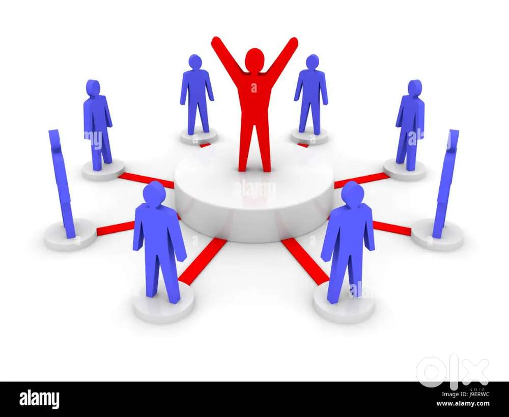 Immediate requirement for team Leader