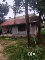 2 BHK UNFURNISHED INDIPENDENT DOG FRIENDLY HOUSE FAMILY TRIPUNITHURA