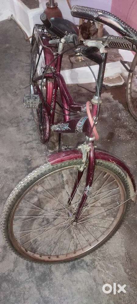 Cyclone model 2023