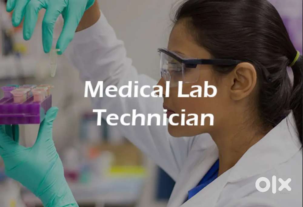 Blood Bank Lab Technician Job in Anna Nagar
