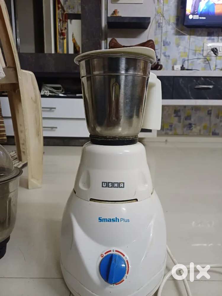 Mixer grinder